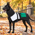 Quilted Winter Dog Jacket with Protective Neck Cover