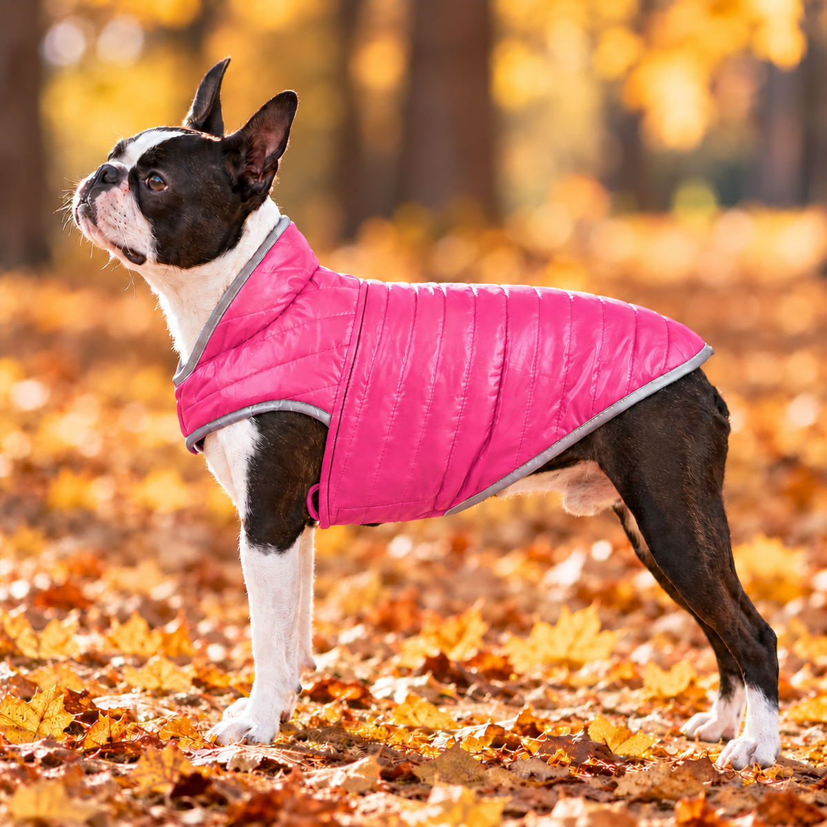 Lightweight Quilted Puffer Jacket for Dogs