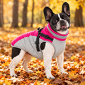 Warm Reflective Dog Coat with Adjustable Harness