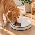 Automatic Pet Feeder with 6 Meal Compartments and Digital Timer