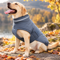 Padded Winter Dog Coat with High Collar