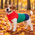 Color Block Puffer Jacket for Dogs
