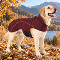 Warm Padded Winter Dog Coat with Fleece Collar