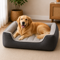 A golden retriever dog lies comfortably inside a dark gray and light gray pet bed in a cozy, sunlit room with a potted plant and wooden furniture in the background.